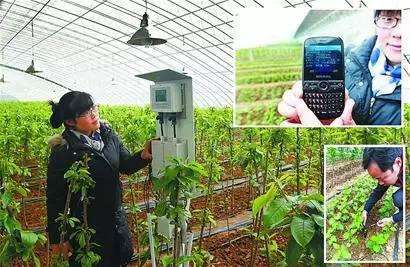 農業應用.jpg 農業應用.jpg